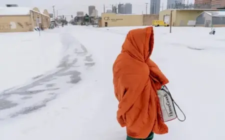 Massive U.S. Winter Storm Sweeps Nation: A Visual Report from NPR