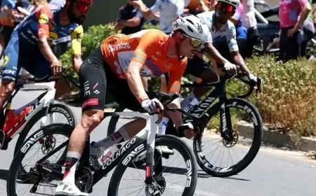 Kangaroo Collision Disrupts Tour Down Under Final; Leader Jay Vine Chases Back