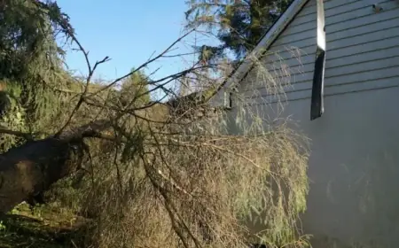 Ireland to Distribute Emergency Preparation Booklet to All Households Soon