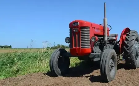 Farmers Receive Extended Drought Aid Deadline to September