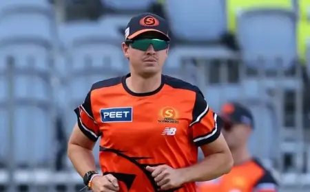 Scorchers Veteran Paris Seeks Crucial Win in BBL Final Bid