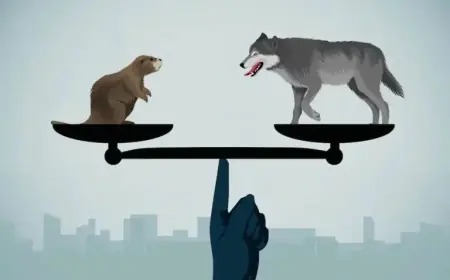 Canada Faces 100% Tariff Threat: Time to Compromise and Move Forward