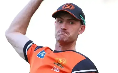 Rain Sidelines Scorchers Veteran in Big Bash Final