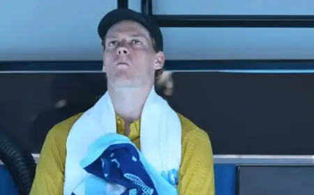 Jannik Sinner Battles Cramps to Advance to Australian Open 4th Round