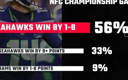 Fans Confident Seattle Seahawks Will Reach Super Bowl Again