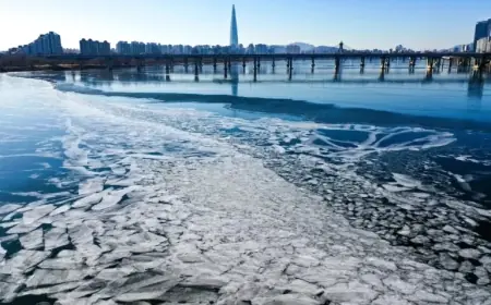Seoul Faces -11°C Cold Snap, Eases Next Week