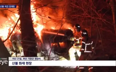 Dry Weather Sparks Wildfires and Flu Cases Rise