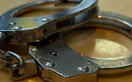 Woman’s Meat Smuggling Foiled in Clever Airport Sting