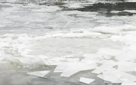 Pittsburgh Faces Major Winter Storm: Up to 16 Inches of Snow Expected