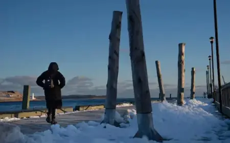 Canada’s Extreme Cold Strains Utilities and Airlines