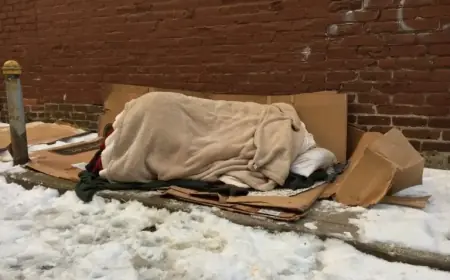 City Councillor Encourages Reporting of Vulnerable Individuals to 311