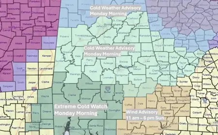 Storms and Freezing Rain Expected in Forecast