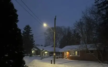 Milton Weather Forecast for Friday, January 23rd