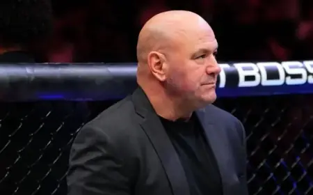 UFC Cancels Johnson-Hernandez Fight Amid Betting Concerns