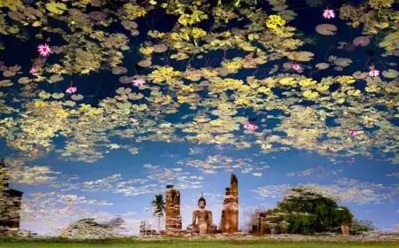 Top Travel Photos Worldwide Capture Stunning Moments