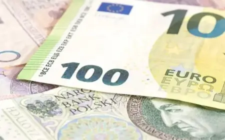 Poland’s Finance Minister Speaks on Euro Adoption