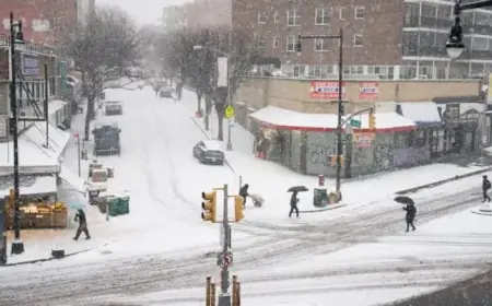 NYC Schools Opt for Remote Learning Day Amid Storm Response