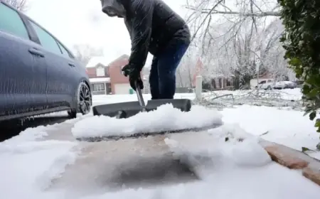 Winter Storm Forces NBA to Postpone Grizzlies vs. Nuggets Game