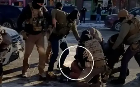 Agent Confirms Disarming Pretti Before Minnesota Shooting: Video Evidence