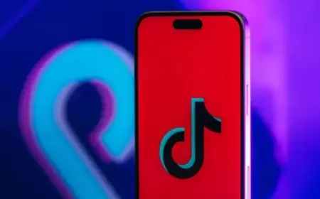 TikTok’s New Terms: Do They Track Race, Gender Identity, Immigration Status?