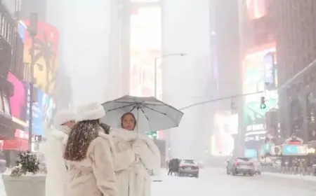 Winter Storm Ice Cuts Power to Hundreds of Thousands in the South