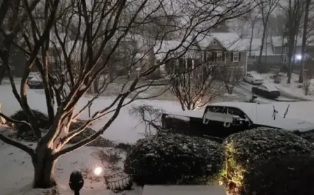 Northern Virginia Snowfall: Early Totals Released