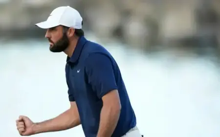 Kim Tops American Express; Scheffler and Teen Brown Trail by One Shot