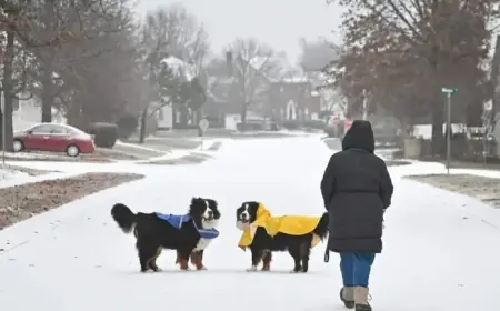 Winter Weather Approaches NC as Ice Covers Charlotte