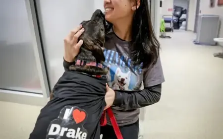 Patriots’ Mike Vrabel Transforms Shelter Dogs’ Lives, Says Robert Kraft’s Wife