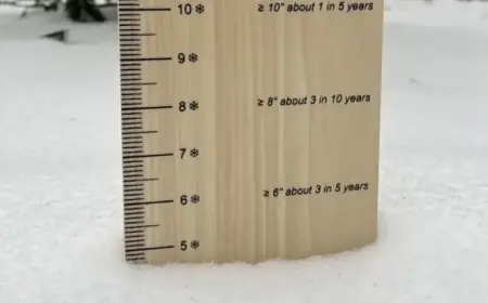 DC Region’s Top Snowfall Areas Revealed