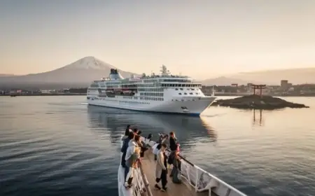 Technical Setback Halts Royal Caribbean Cruise Between Australia and New Zealand