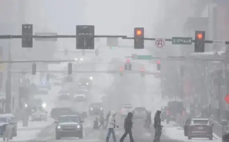 Winter Storm Forces NBA to Delay Grizzlies-Nuggets, Mavs-Bucks Games