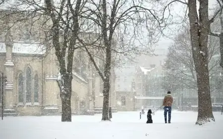 Snowstorm Hits GTA: Flight Cancellations and Hazardous Roads
