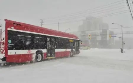 Winter Storm to Blanket Toronto, GTA with Up to 40 cm of Snow