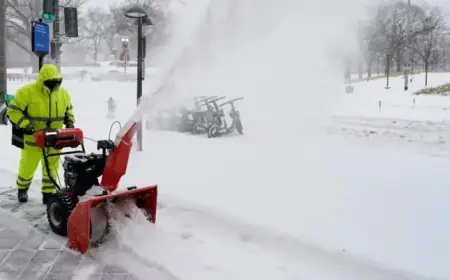 Eastern US Faces Power Plant Outages Due to Gas Supply Shortages and Cold Snap