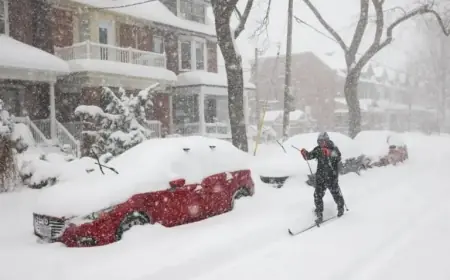 Severe Snowstorm and Cold Snap Cause Widespread Flight Cancellations