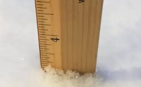 Pittsburgh’s Snowfall Total: See How Much Has Accumulated So Far