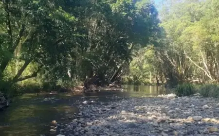 Two Men Dead, Woman Critical After NSW River Drowning