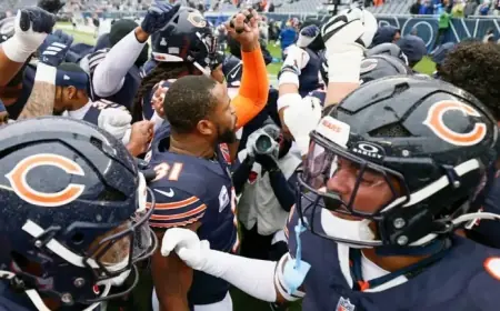 Bears Thrive in Remarkable Season, Eager for Greater Success