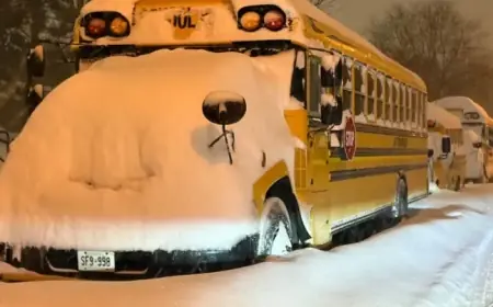 Massive Snowstorm Shuts Schools, Cancels Buses Across GTHA