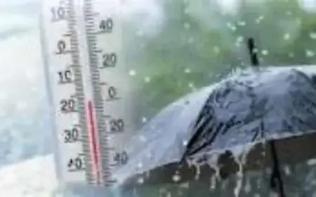 Severe Cold Weather Forecasted with Light to Moderate Rain