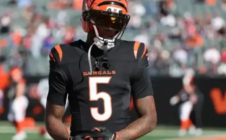 Bengals Revel in Unique Offseason Advantage Over Rival Teams