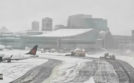 Toronto Storm Grounds Two-Thirds of Pearson Airport Flights
