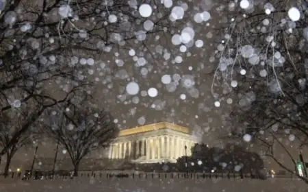 Major Winter Storm Strikes D.C. Region: Essential Details