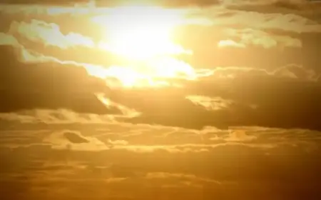 Tomorrow’s Kensington Gardens Weather: What to Expect