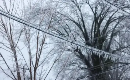 Major Winter Storm Triggers Widespread Power Outages on US East Coast