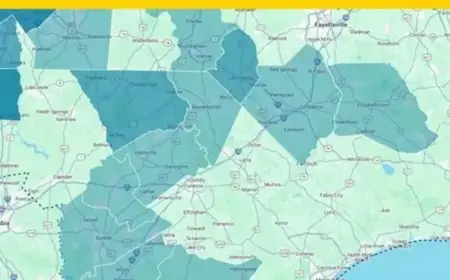 Winter Storm Cuts Power to Over 3,000 in Pee Dee Region