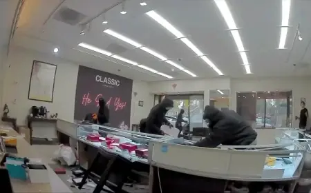 Masked Robbers Crash Car into Jewelry Store, Seize Owner’s Gun in Daring Heist