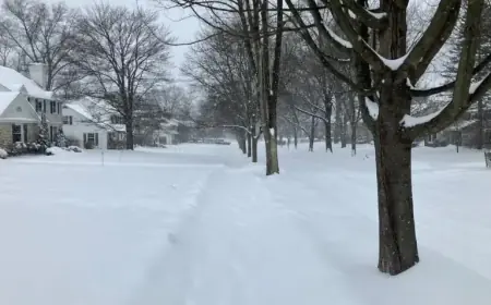 Winter Storm Fern: Early Snowfall Totals Revealed