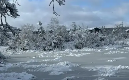 Nova Scotia Storm Forces Many School Closures